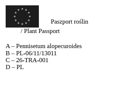 Trawa ozdobna Rozplenica japońśka Sol Pennisetum alopecuroides