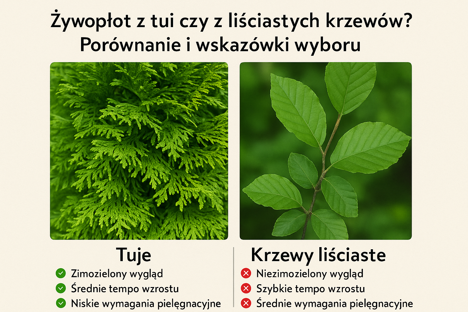 Żywopłot z tui czy z liściastych krzewów? Porównanie i wskazówki wyboru.