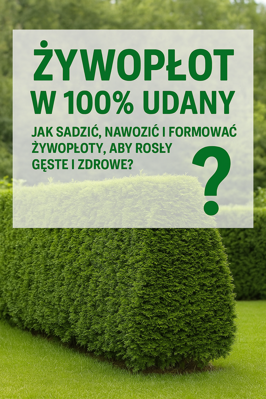Żywopłot w 100% udany: jak sadzić, nawozić i formować żywopłoty, aby rosły gęste i zdrowe?